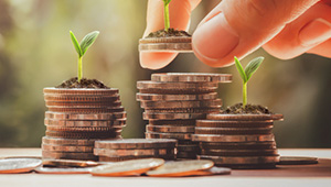 Bevo Finance